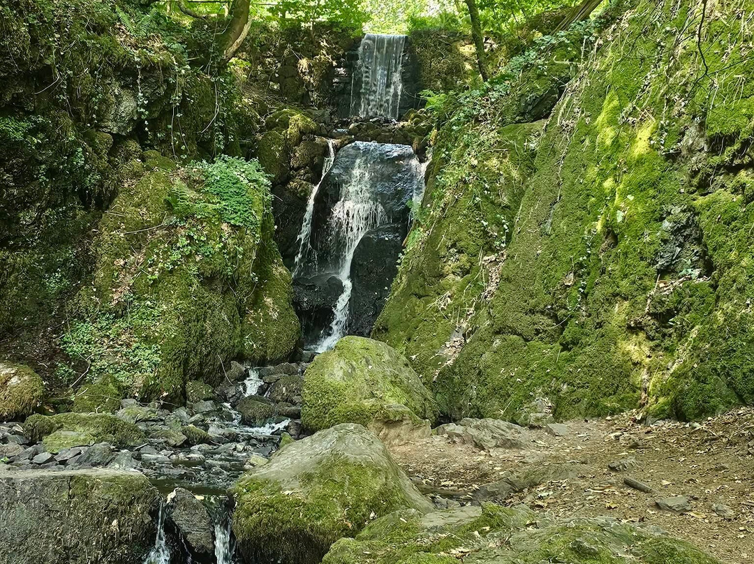 Canonteign Falls-Christow必去景点