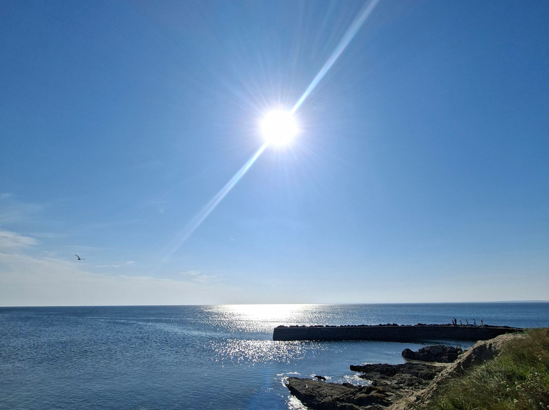 Kilmore Quay Harbour-Kilmore Quay必去景点
