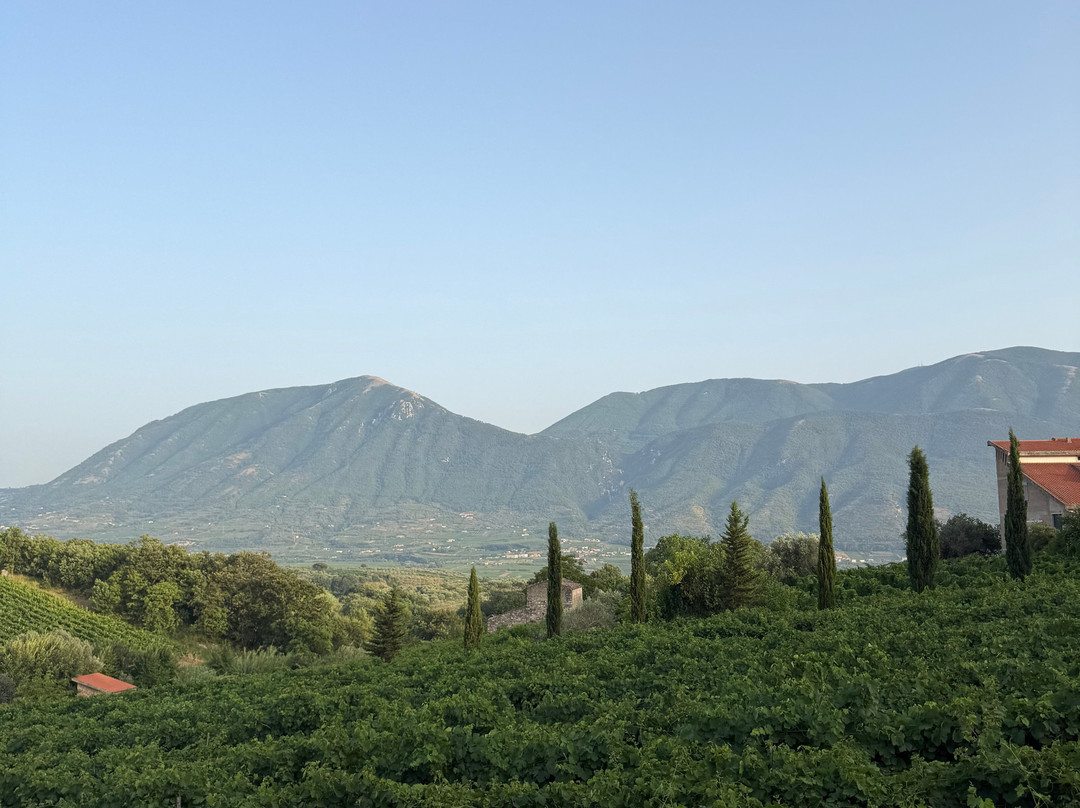 Sapentia Wine - L'Eredità del Vino-Guardia Sanframondi必去景点