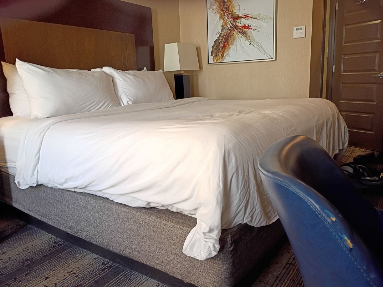 Crowne Plaza 哈里斯堡 - HERSHEY-客卧