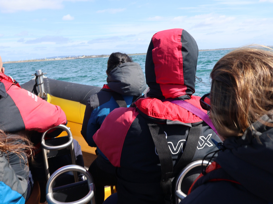 Saltee Islands-Kilmore Quay必去景点