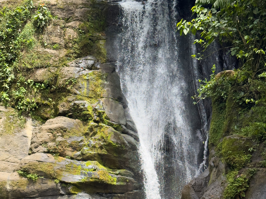 Cataratas Bribri Talamanca-Bribri必去景点