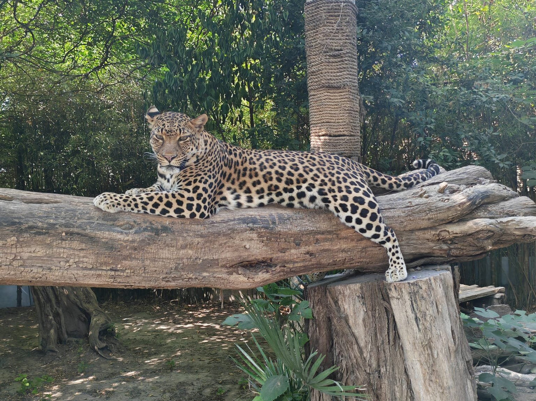 Lo Zoo di Napoli-那不勒斯必去景点