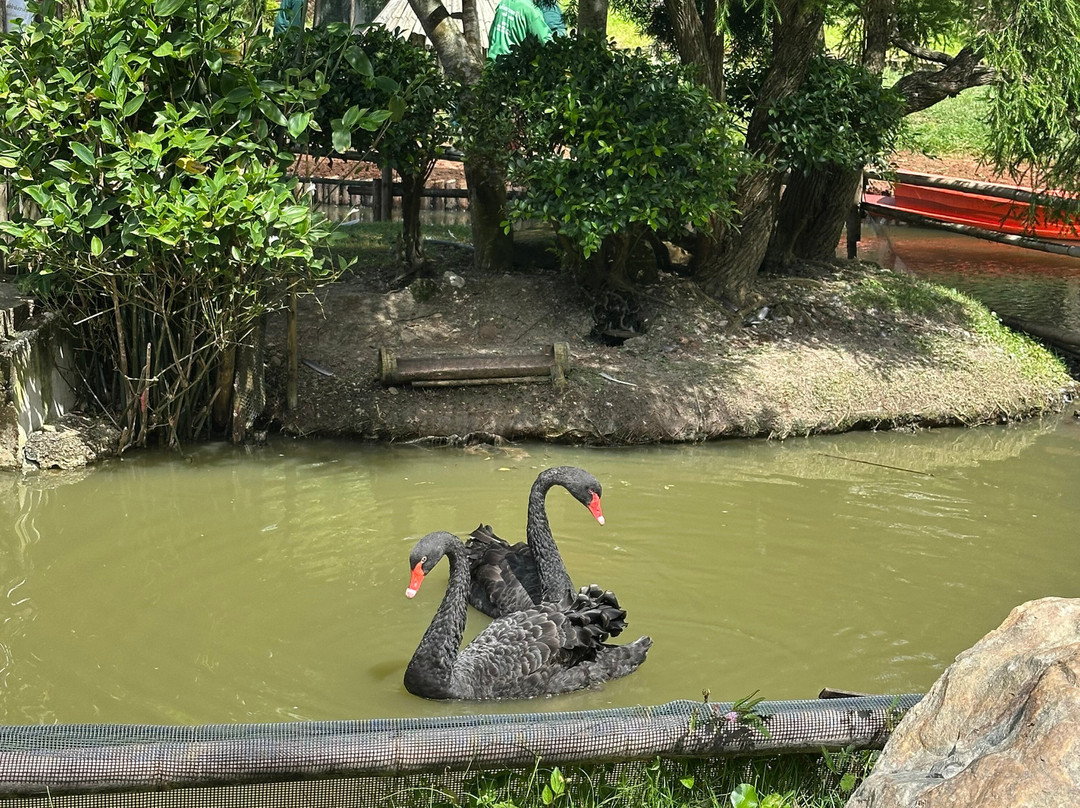 蒙查温泉旅馆主图