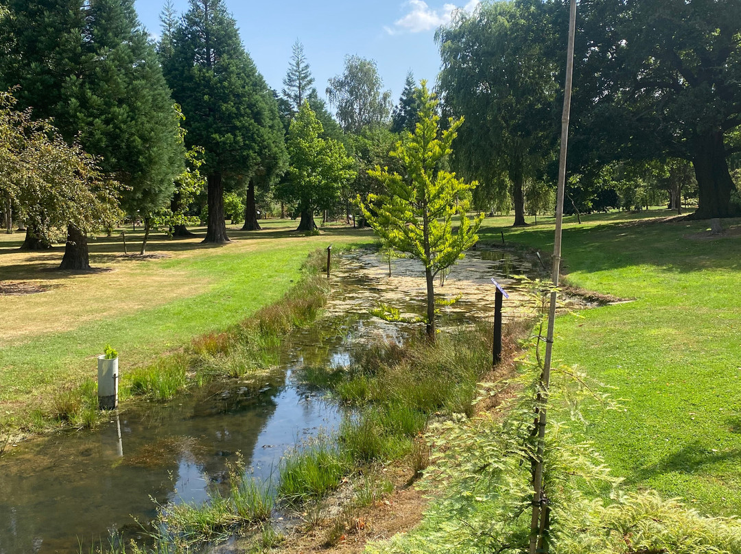 Bluebell Arboretum and Nursery-Smisby必去景点