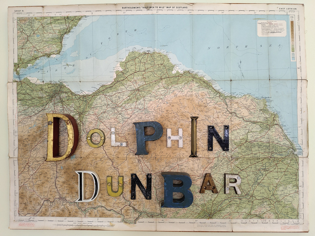 The Dolphin Inn Hostel主图