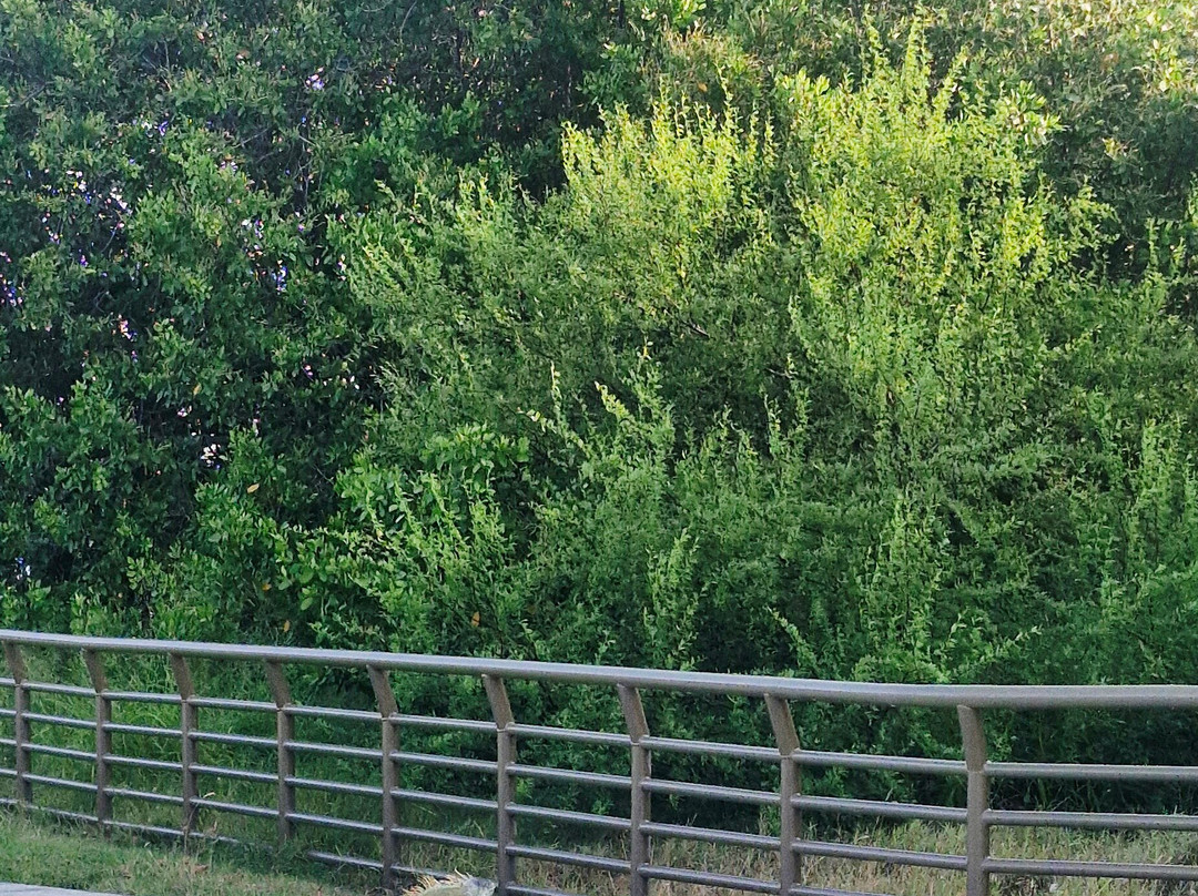 坦皮科商务高级河景酒店主图