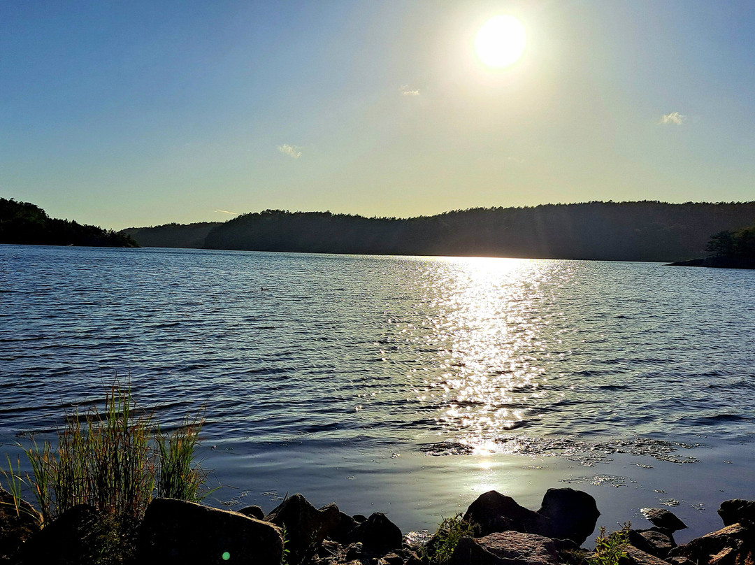 Dynestrand Camping
