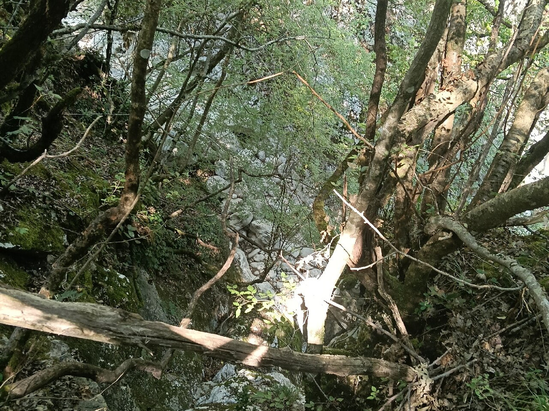 Riserva Naturale Regionale Guardiaregia-Campochiaro-Guardiaregia必去景点
