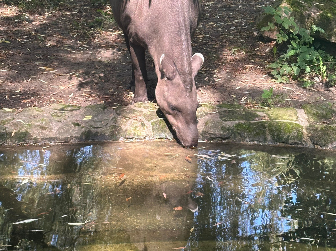 Zoologischer Garten Magdeburg-马格德堡必去景点