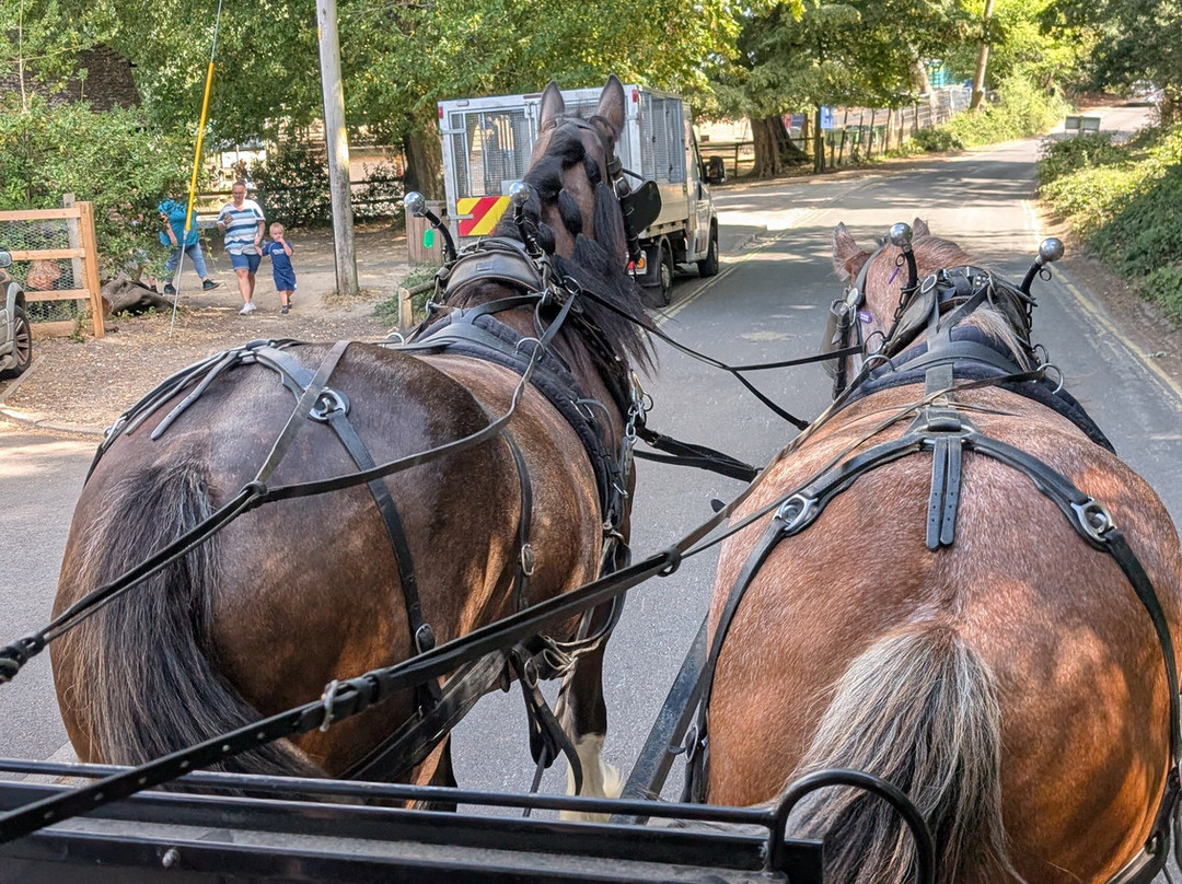 Burley Wagon Rides-Burley必去景点