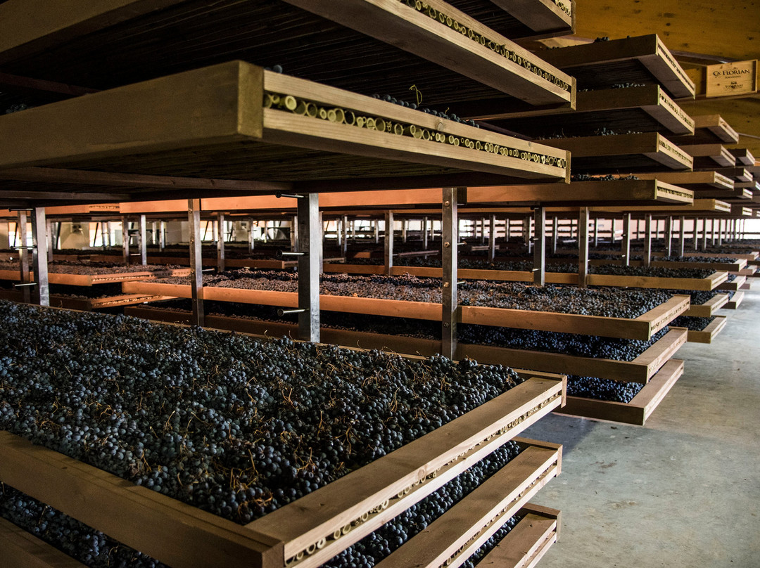 Tommasi Family Estates-Pedemonte必去景点