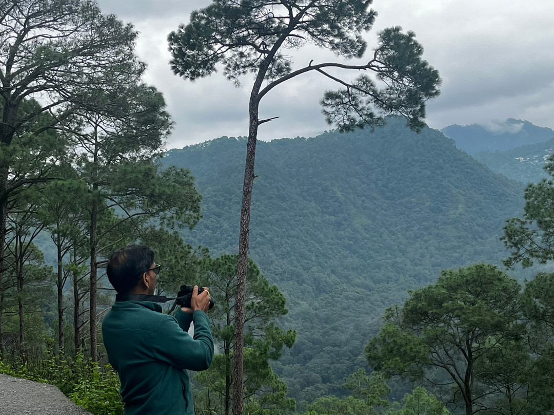 Sattal Forest Resort主图