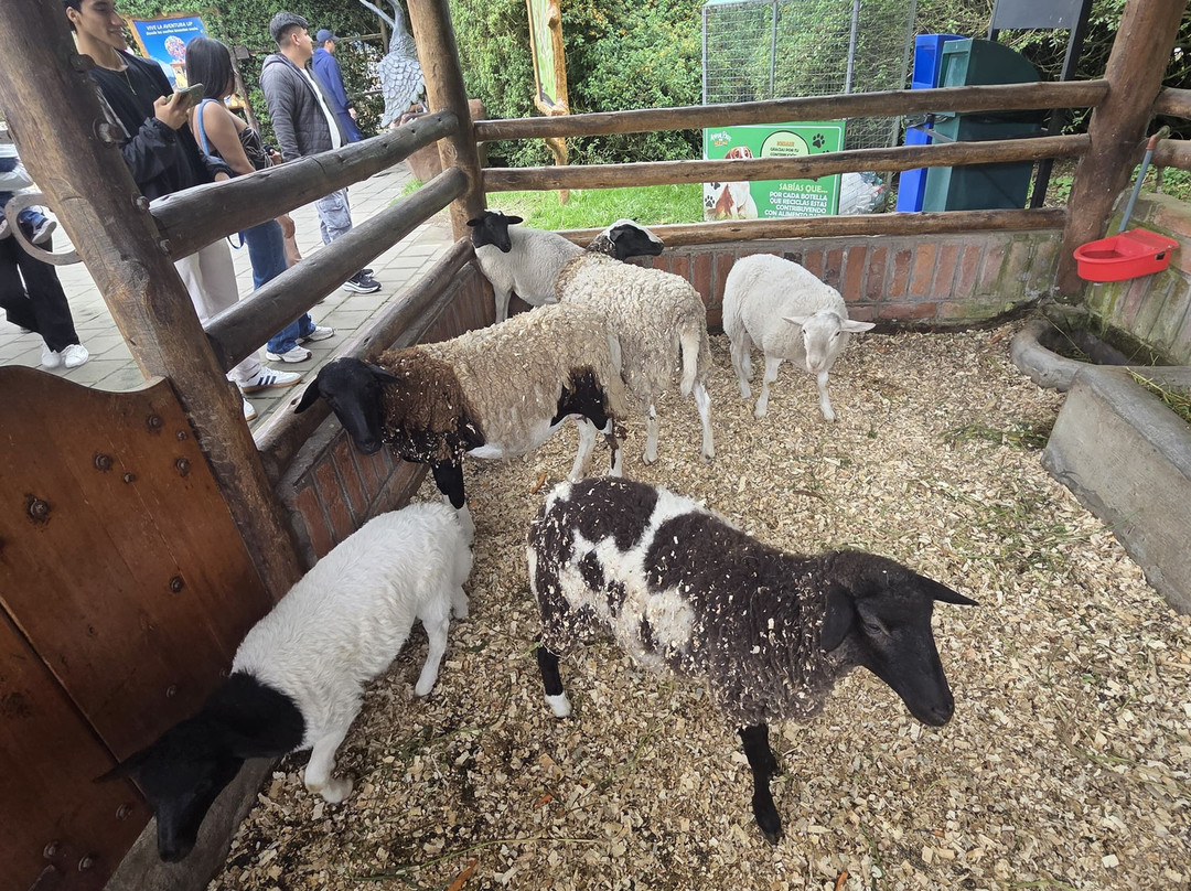 AnimalPark-巴尼奥斯必去景点