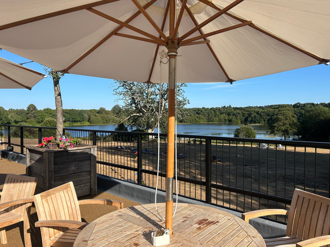 Champneys Forest Mere Spa-Liphook必去景点