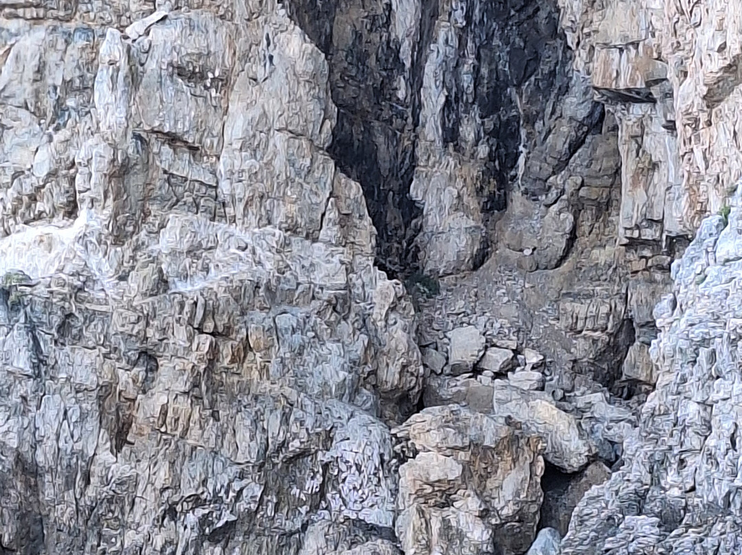 Galeb Boat Tours-Kolocep Island必去景点