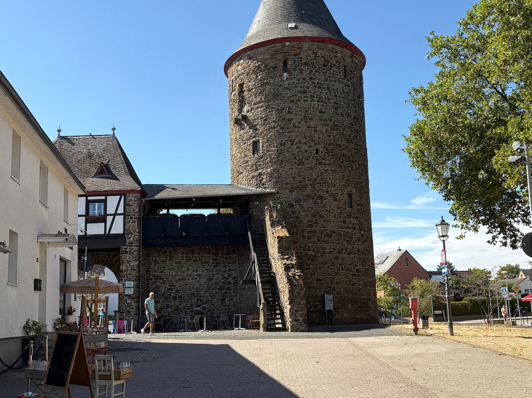 Burg Rheinbach-Rheinbach必去景点