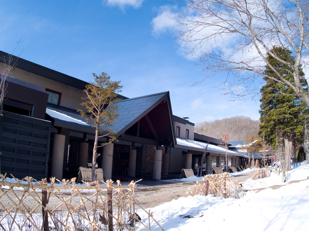 北海道酒店住宿-支笏湖温泉度假村敦贺水之歌酒店