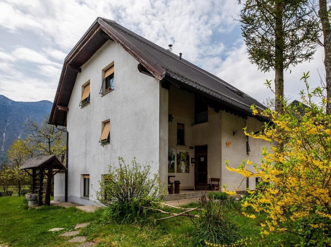 Sella Nevea酒店住宿-Bovec Holiday House