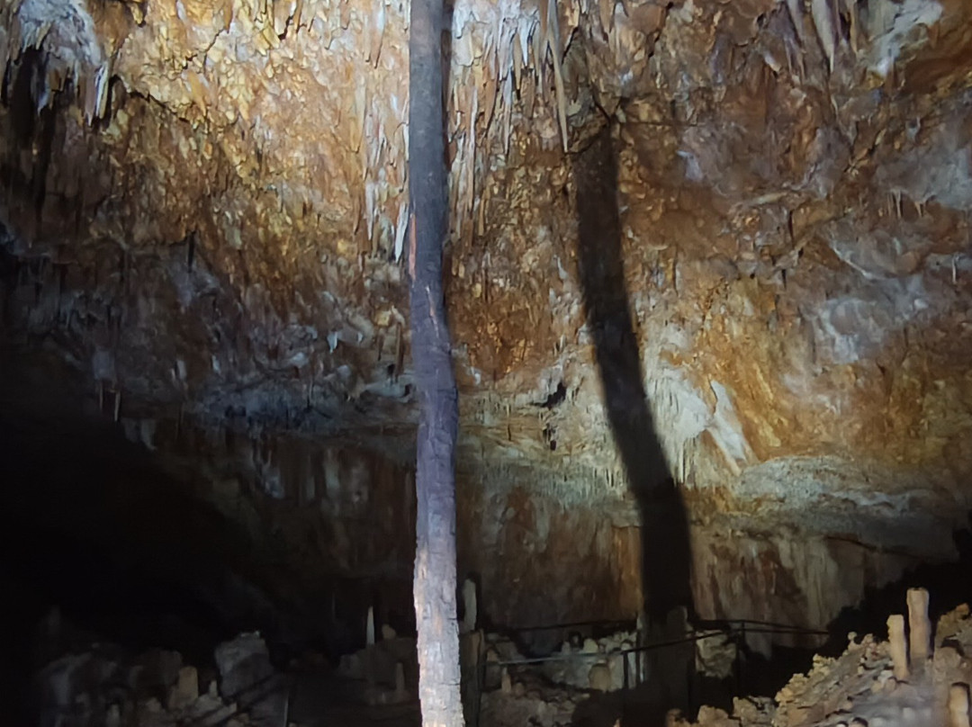 Aven Grotte Forestière-Orgnac-l'Aven必去景点