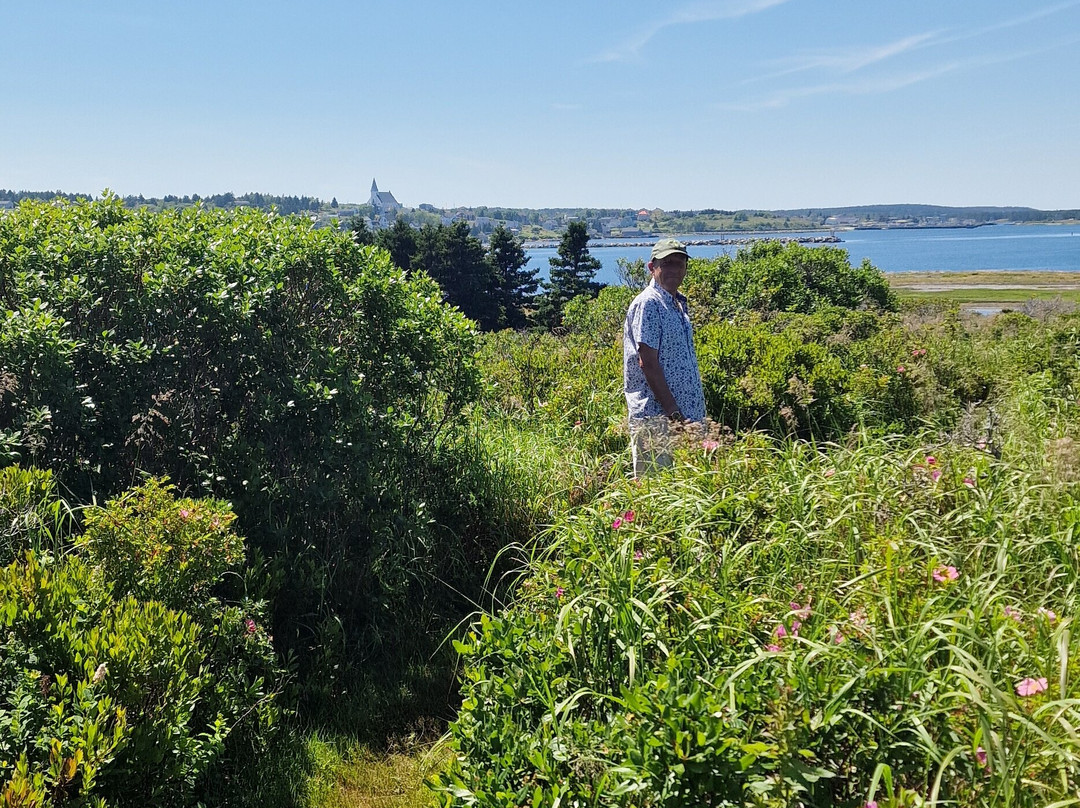 Canso Islands National Historic Site-Canso必去景点
