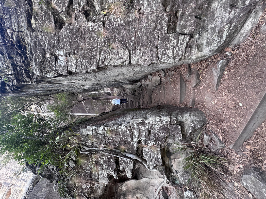 Art Gallery-Carnarvon National Park必去景点