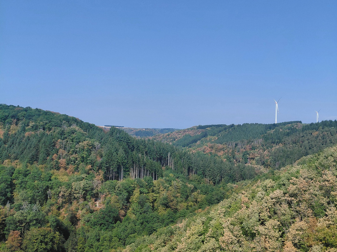 Geierlay Hängeseilbrücke-Moersdorf必去景点