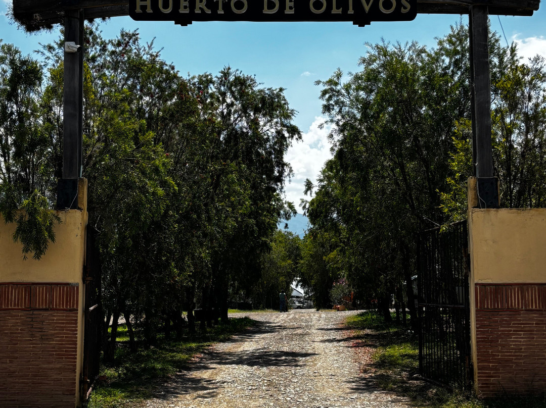 Huerto Olivanto-莱瓦镇必去景点
