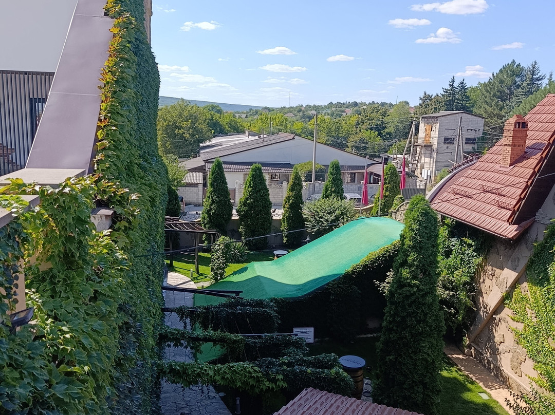 Chateau Cojusna-Straseni必去景点