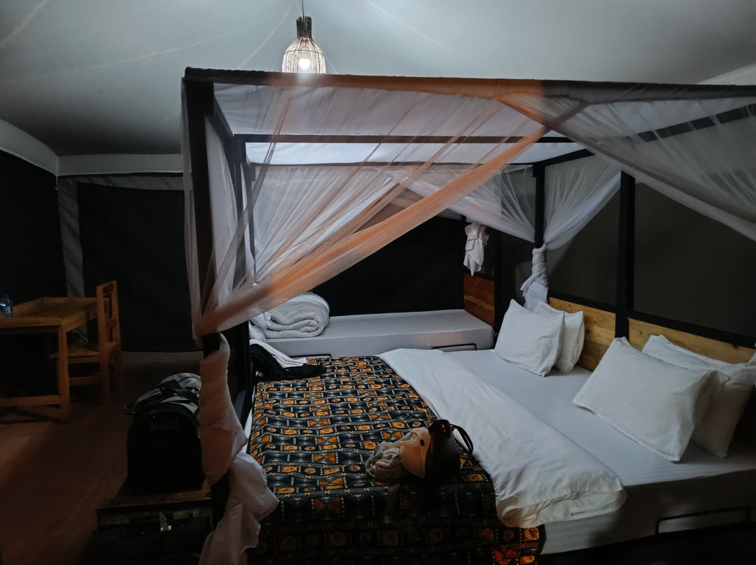 Glimpse of Africa Tented Camp-Ikoma必去景点