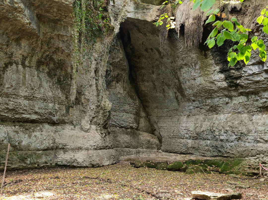 Cascade de la Roche-Saint-Baudille-de-la-Tour必去景点