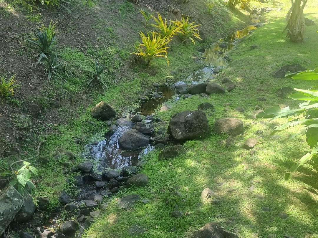 Zoo de Martinique-Le Carbet必去景点