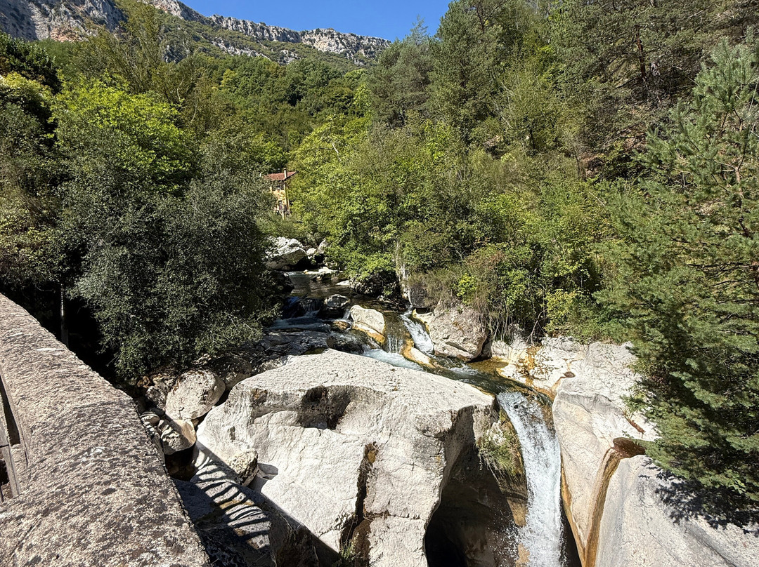 Cascades du Saut du Loup-Courmes必去景点
