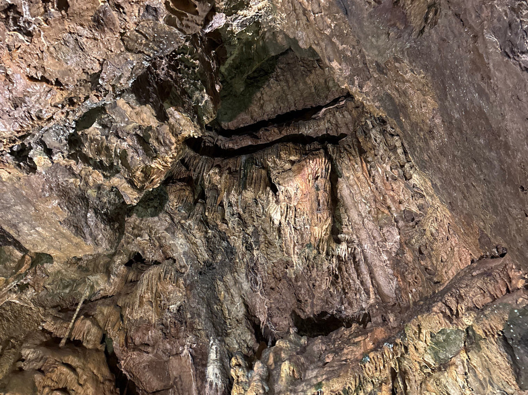 Grottes de Hotton-Hotton必去景点