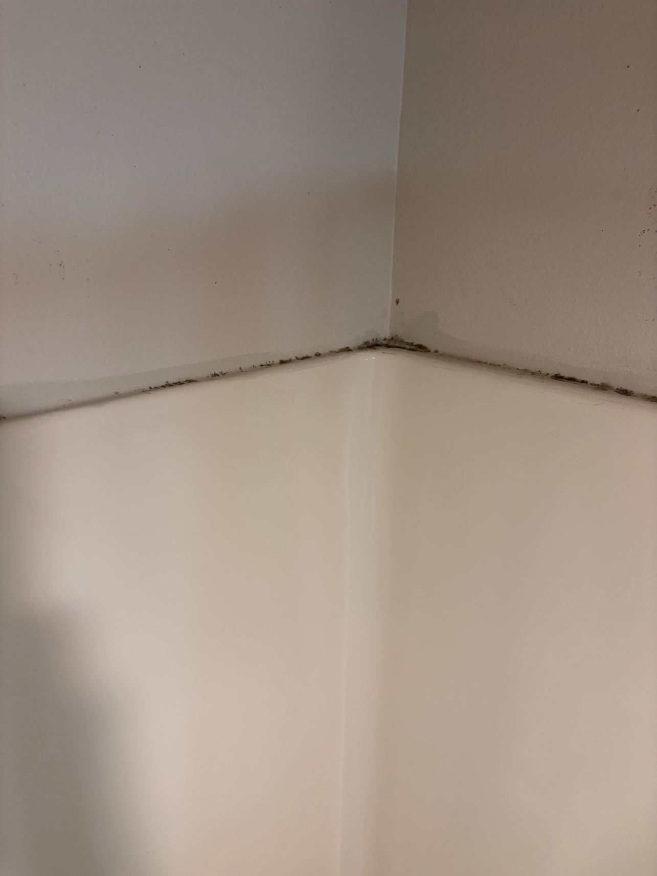 墨尔本维埃拉昆塔温德姆套房酒店-旅行者