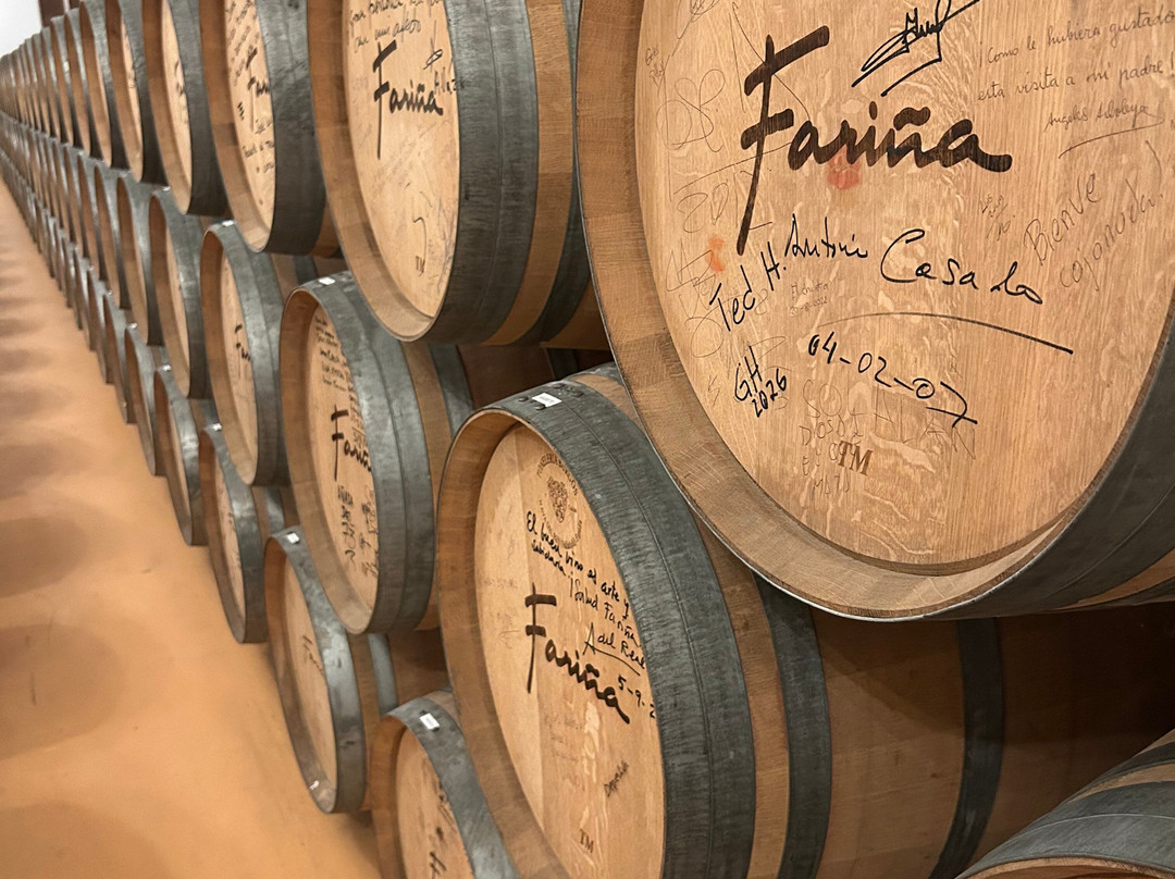 Bodegas Fariña-Toro必去景点