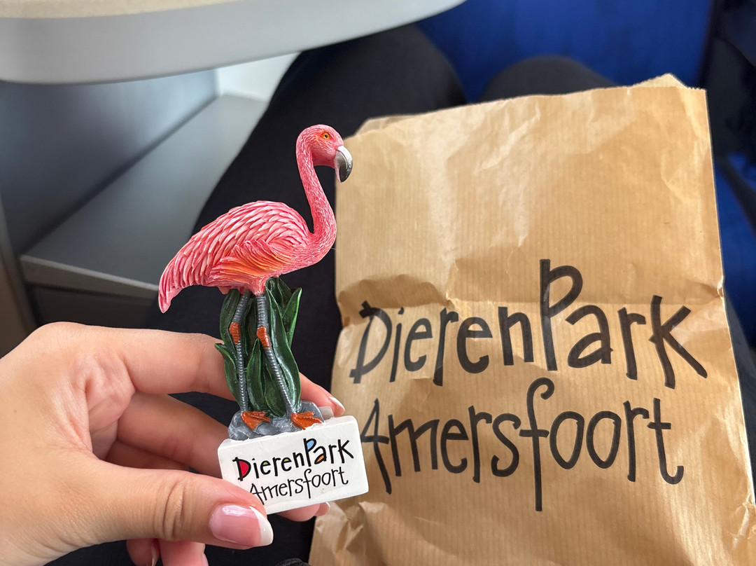 DierenPark Amersfoort-阿默斯福特必去景点
