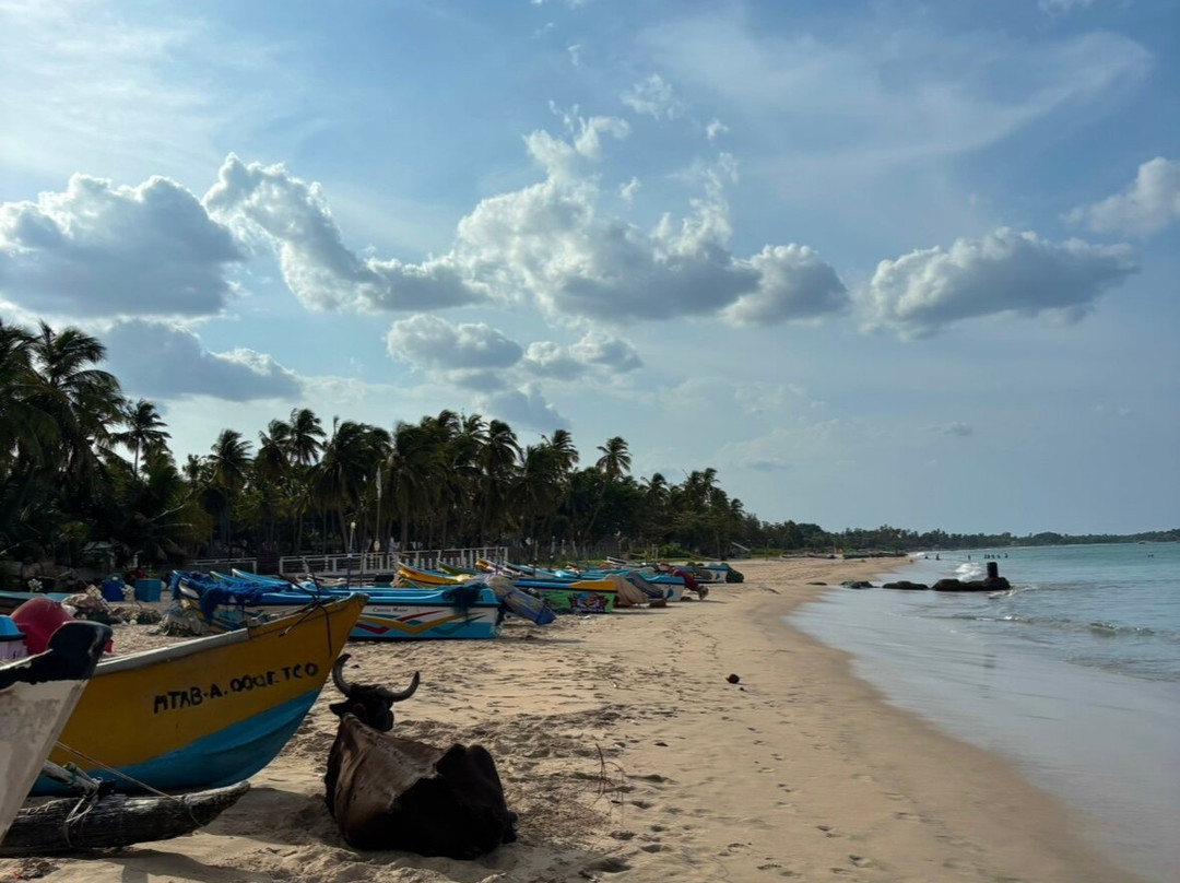 Compass Lanka Tours-Yakkala必去景点