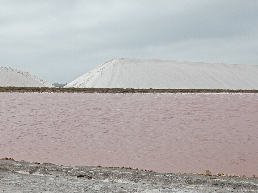 Salin d'Aigues-Mortes-艾格莫尔特必去景点