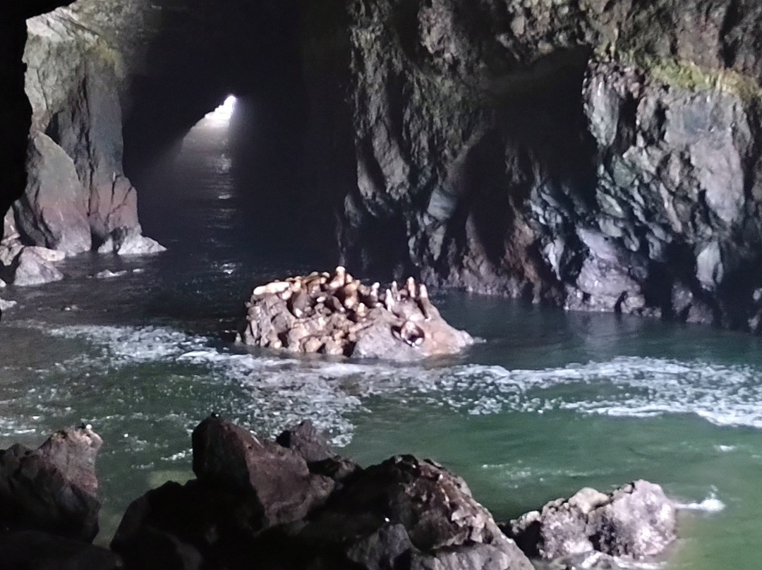 Sea Lion Caves-弗洛伦斯必去景点