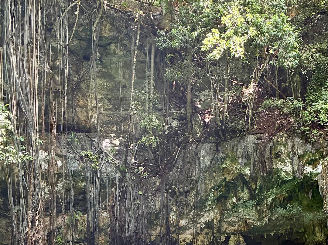 Cenote Yokdzonot-Yokdzonot必去景点