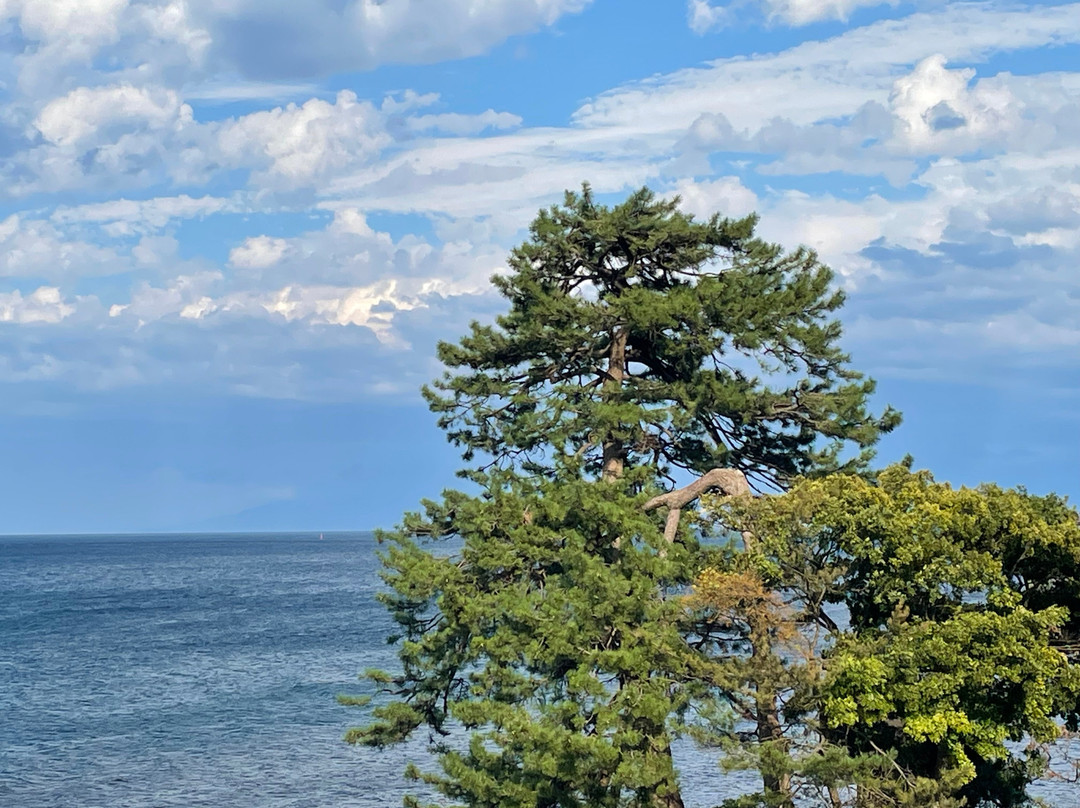 Amaharashi Coast-高冈市必去景点