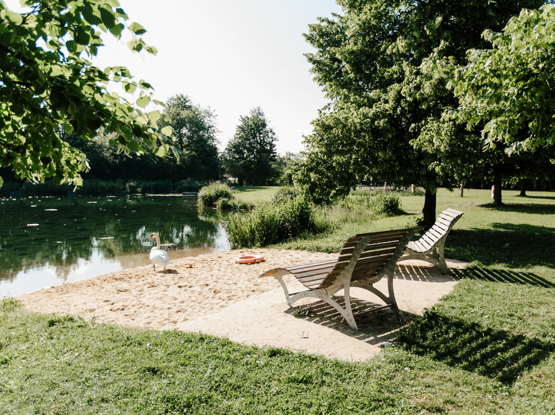 Stadtpark Neue Welt-梅明根必去景点