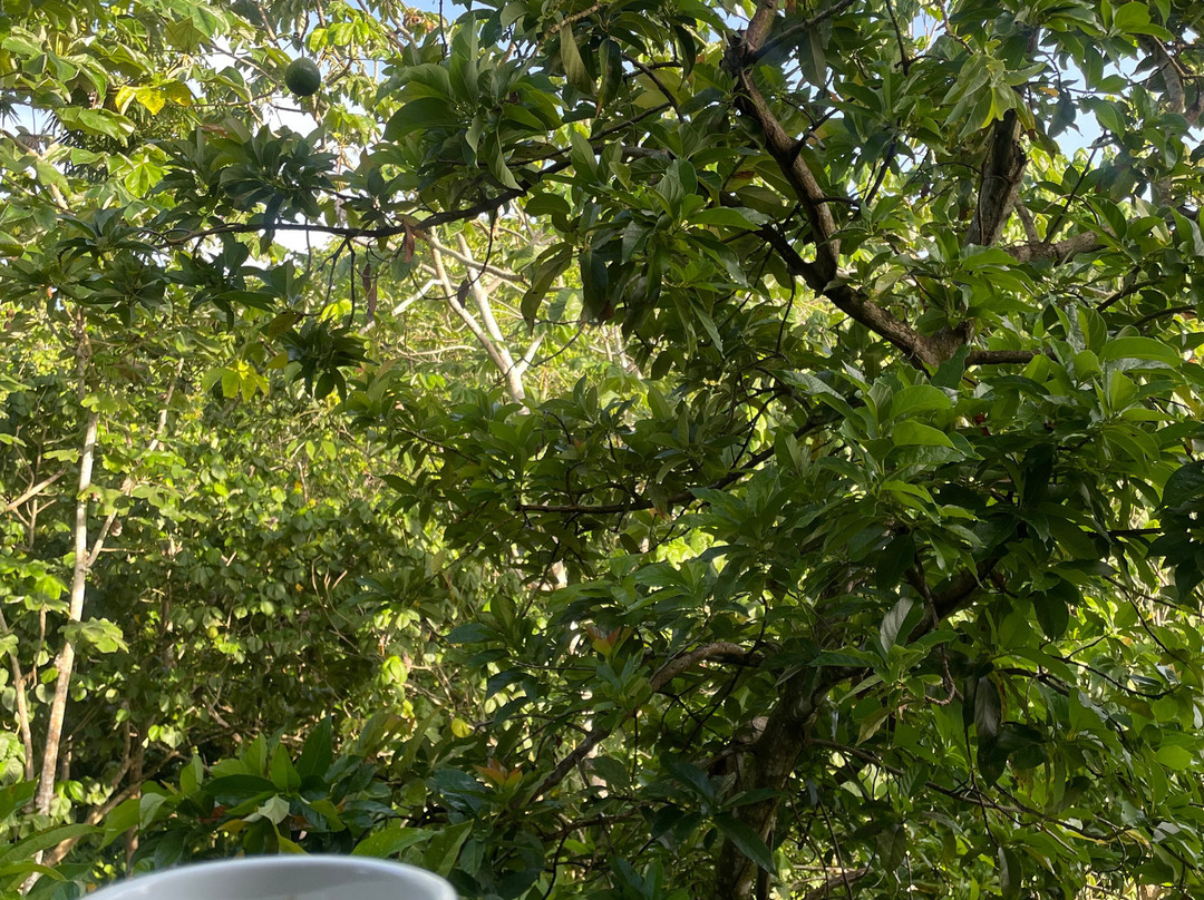 湾景生态水疗度假酒店主图