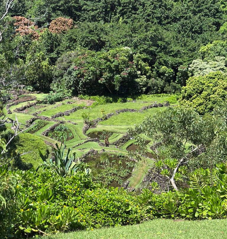 Limahuli Garden and Preserve-哈纳雷伊必去景点