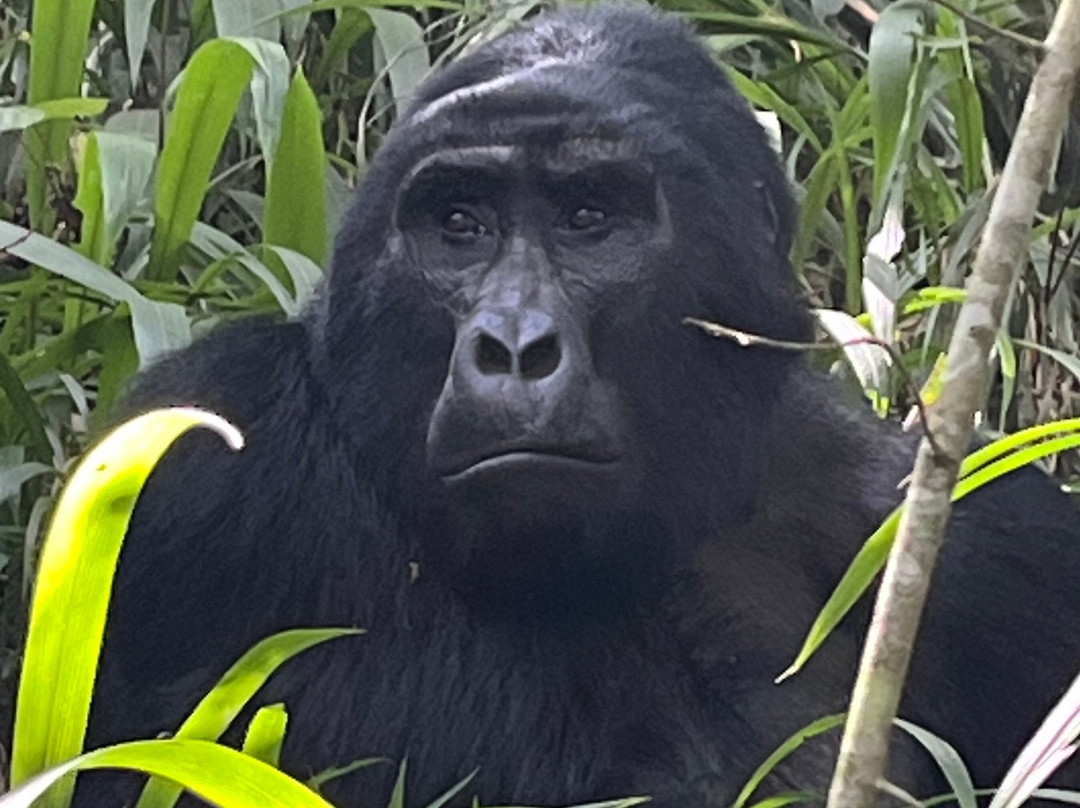 Grassrootz Adventures Uganda-坎帕拉必去景点