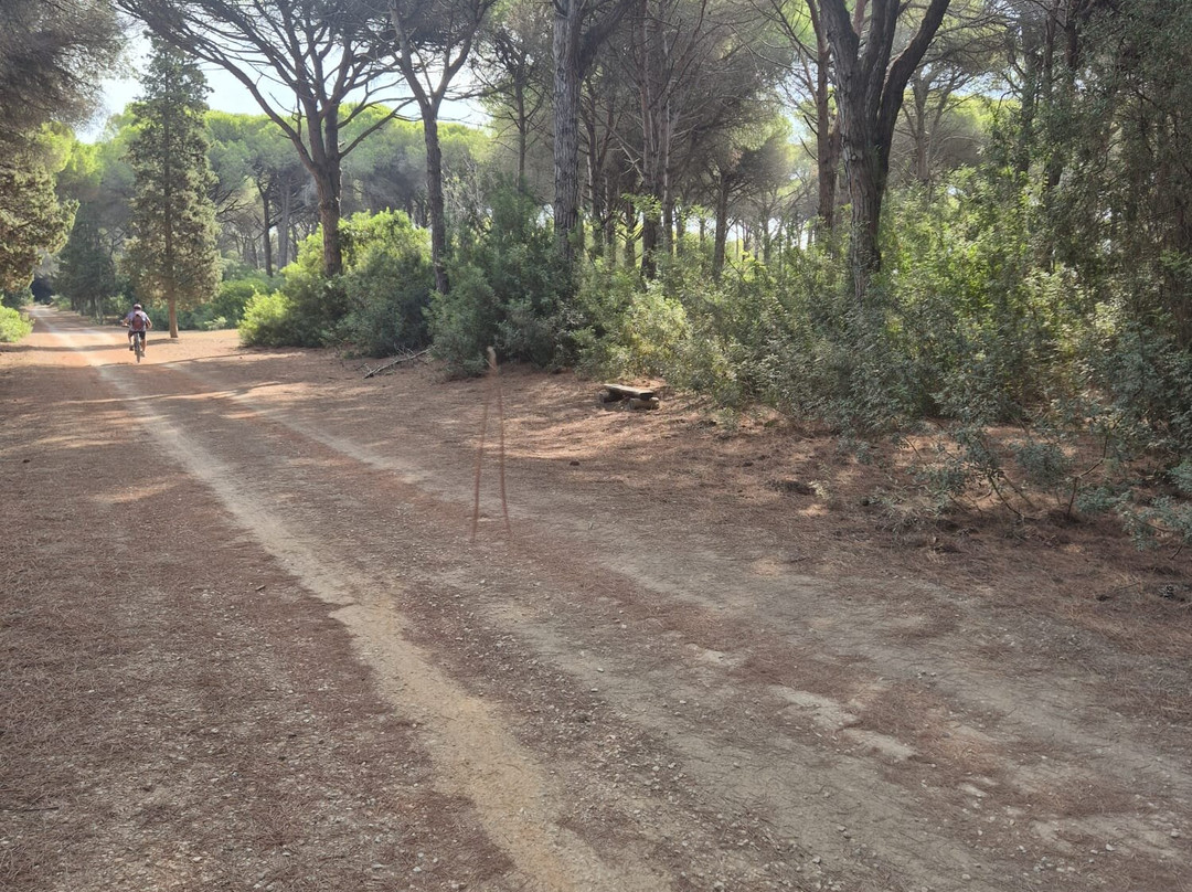 Spiaggia Della Feniglia-奥尔贝泰洛必去景点