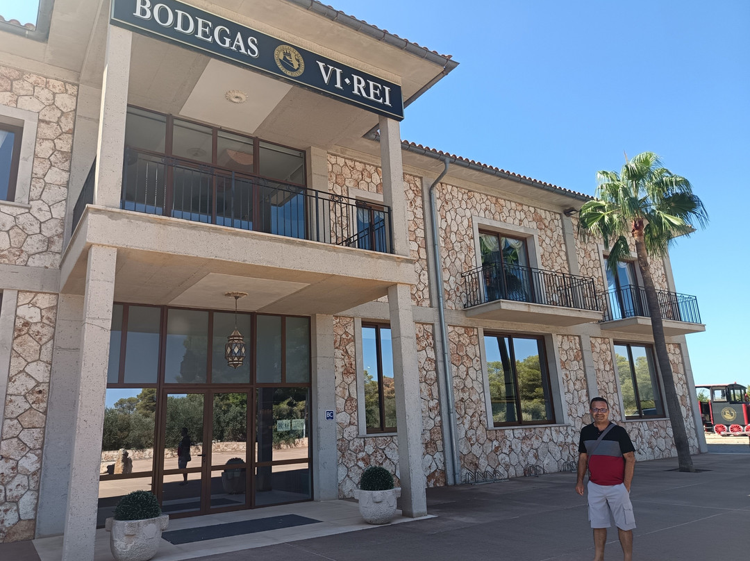 Bodegas Vi Rei-柳奇马约尔必去景点