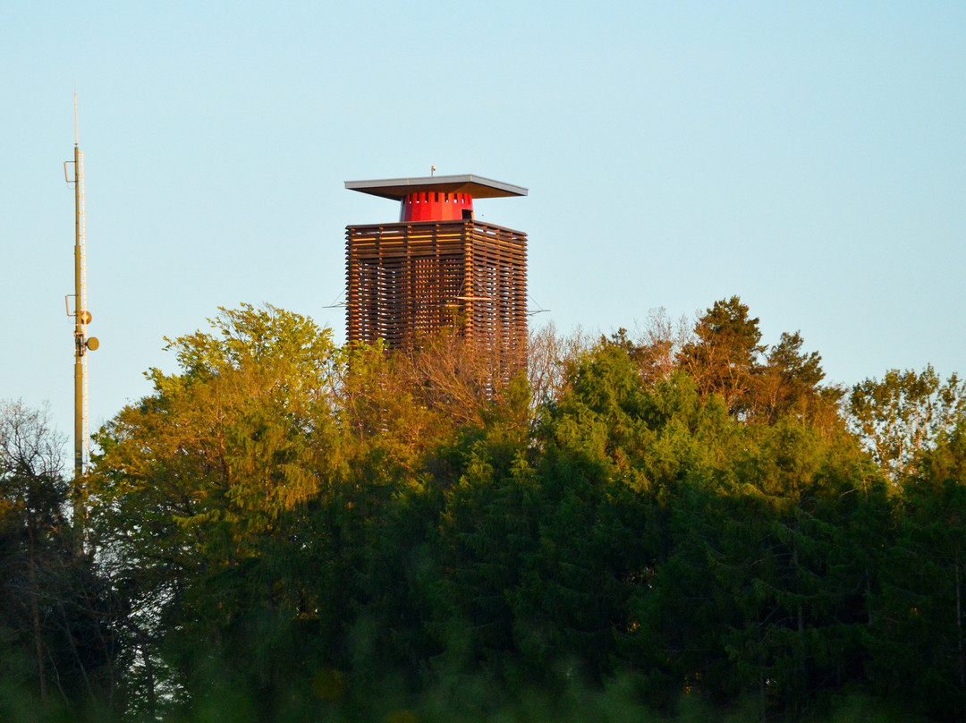 Napoleonturm Hohenrain-Waldi必去景点