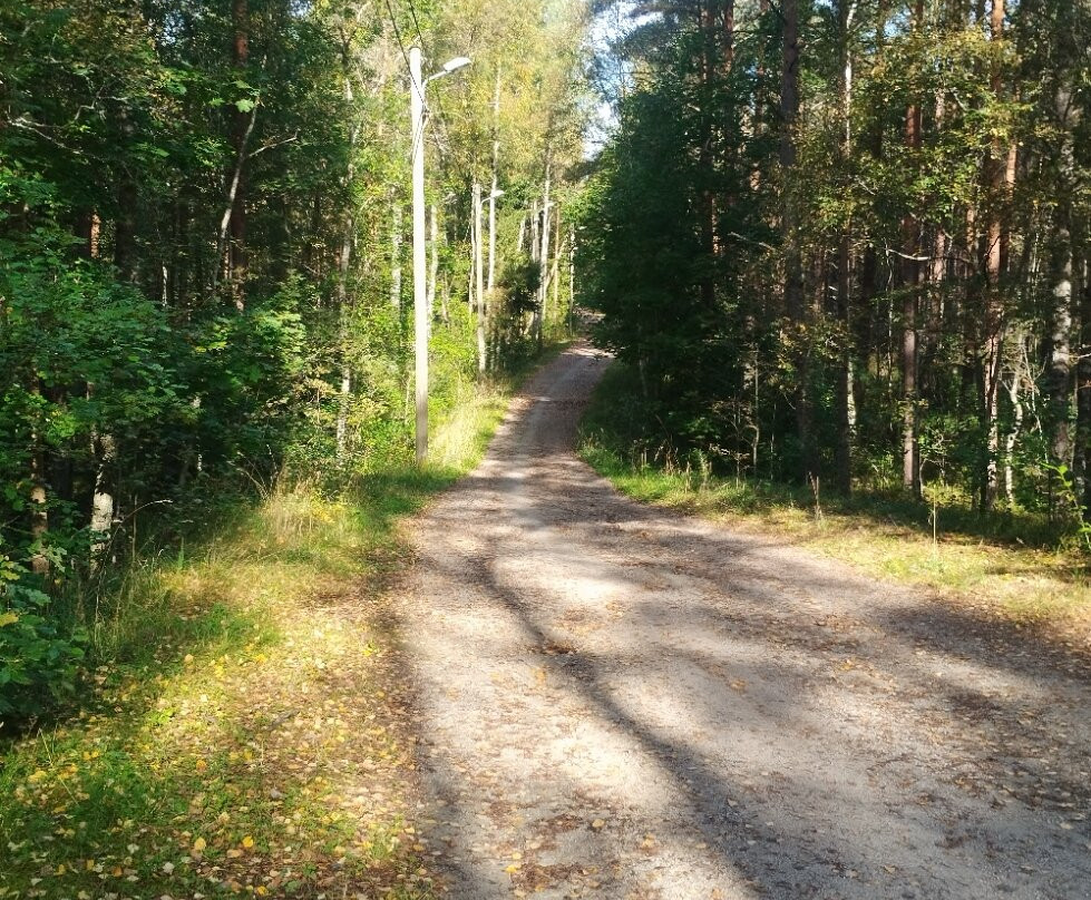 Harku Forest Nature Trail-塔林必去景点
